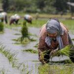 antarafoto-pemerintahan-prabowo-gibran-jamin-ketersediaan-pupuk-bagi-petani-171024-mm-3_ratio-16x9