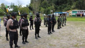 papua dd