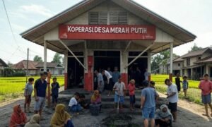 Koperasi-Merah-Putih