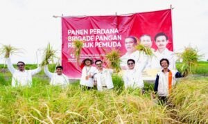 pusat_6ff435e7-c61b-4a65-bef1-9e0f9539e173_news