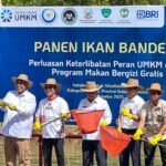 umkm-jadi-pemasok-dapur-mbg-perkuat-rantai-pasok-dan-dorong-ekonomi-lokal_279331