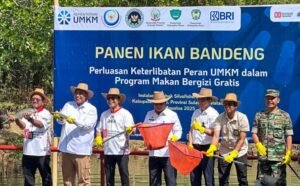 umkm-jadi-pemasok-dapur-mbg-perkuat-rantai-pasok-dan-dorong-ekonomi-lokal_279331