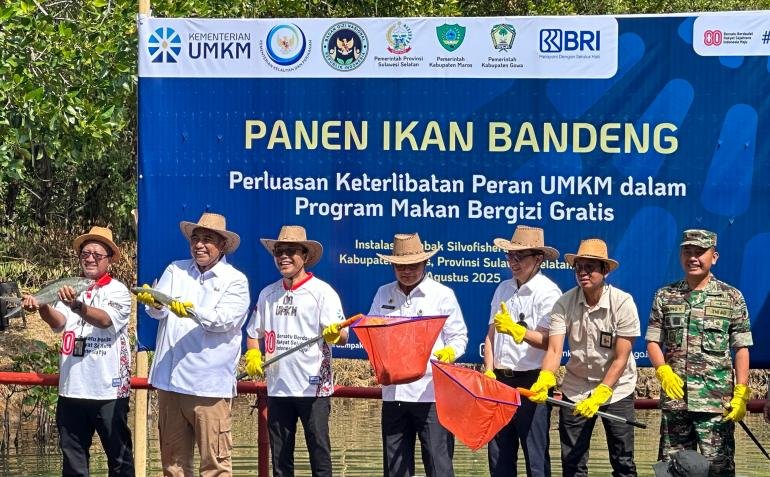 umkm-jadi-pemasok-dapur-mbg-perkuat-rantai-pasok-dan-dorong-ekonomi-lokal_279331