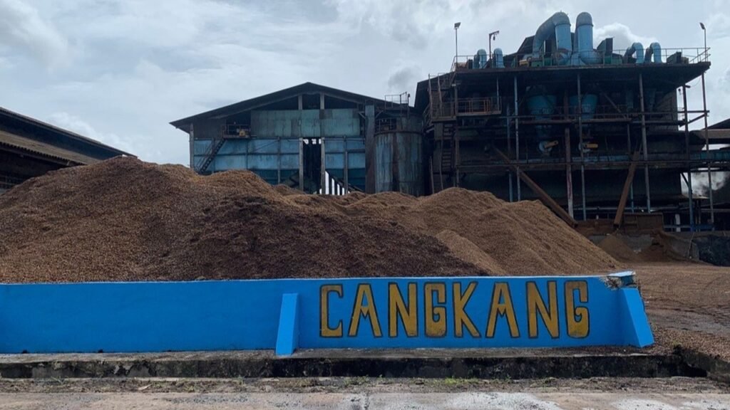 1762774896570-zipe3i