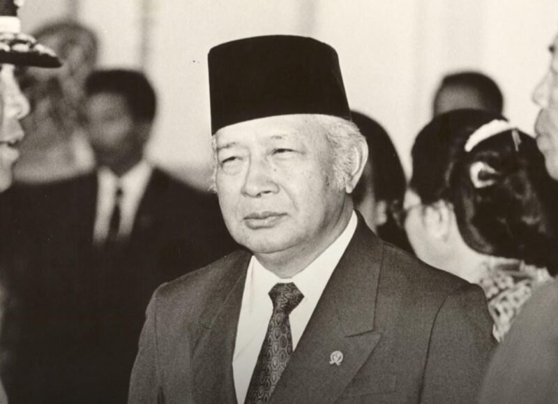 IMG-20251110-WA0022-800x579