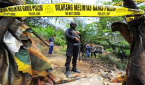 Screenshot-2024-11-26-130139