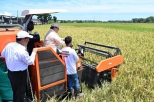 swasembada-pangan-keberhasilan-tahun-pertama-pemerintahan-prabowo-gibran-15102025-113204-696x464