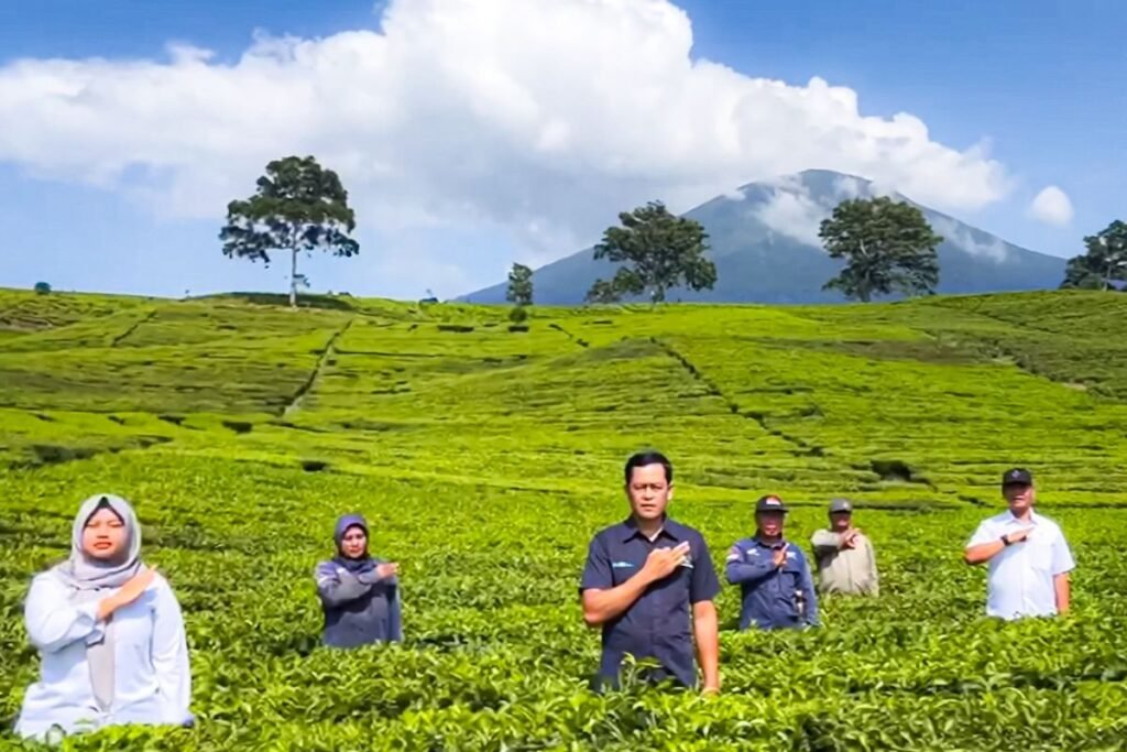 89DA089F-25FC-4726-9478-4FDD3CB021EE