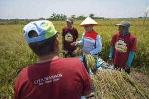 F302C633-3682-4527-95EA-6EA01A42C4EC