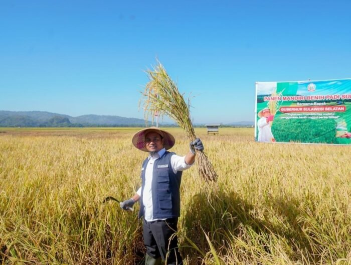 IMG-20241101-WA0032-700x530-1