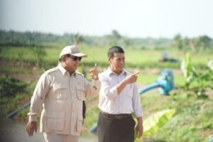 IMG-20241103-WA0046-scaled