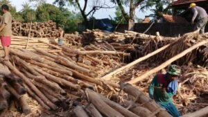 Jual-Kayu-dolken-gelam-murah-jakarta-timur