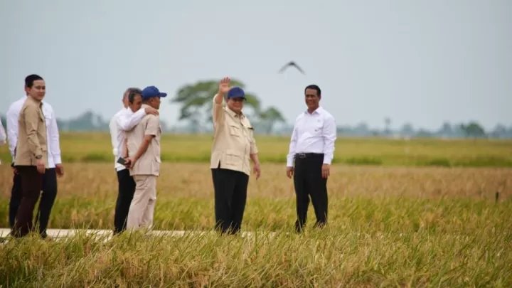 Presiden-Prabowo-Pimpin-Panen-Raya-di-Karawang-Tegaskan-Swasembada-Pangan-Berkelanjutan-2892898380