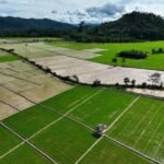 Program-penambahan-areal-tanam-kendari-310125-jjn-1-696x464