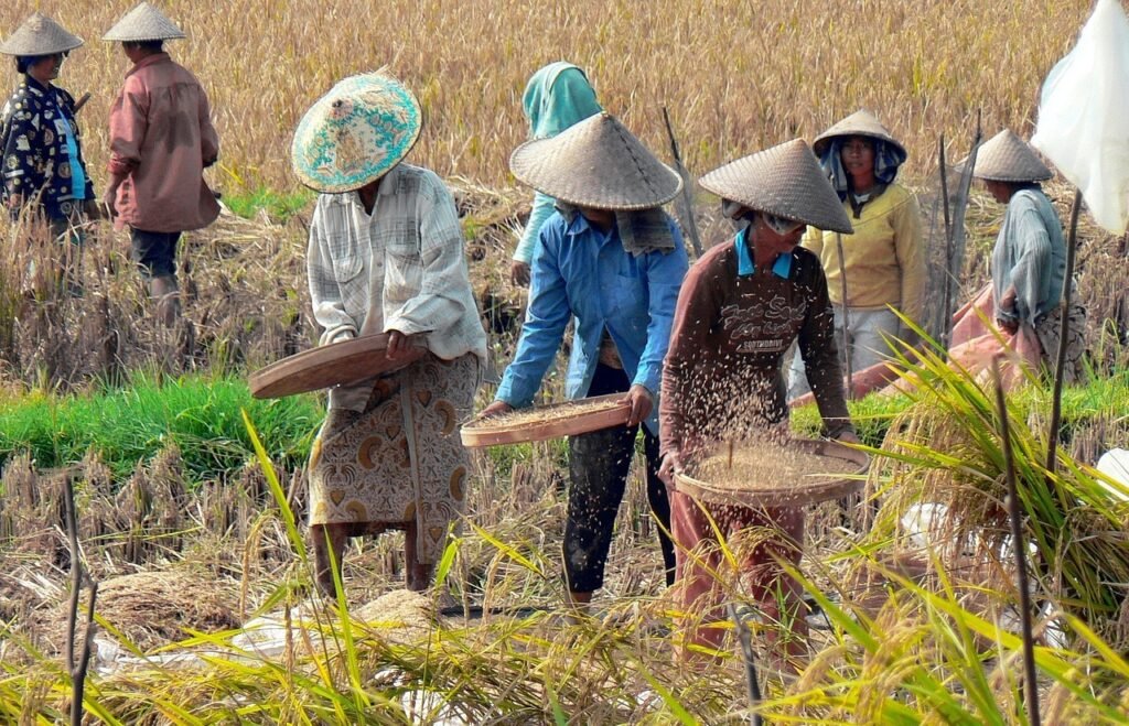 WhatsApp-Image-2025-02-02-at-15.19.14