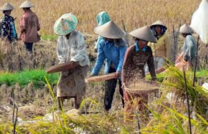 WhatsApp-Image-2025-02-02-at-15.19.14