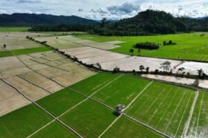 gosumutcom_uyuss_136013