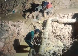 images-2026-01-01T113343.342