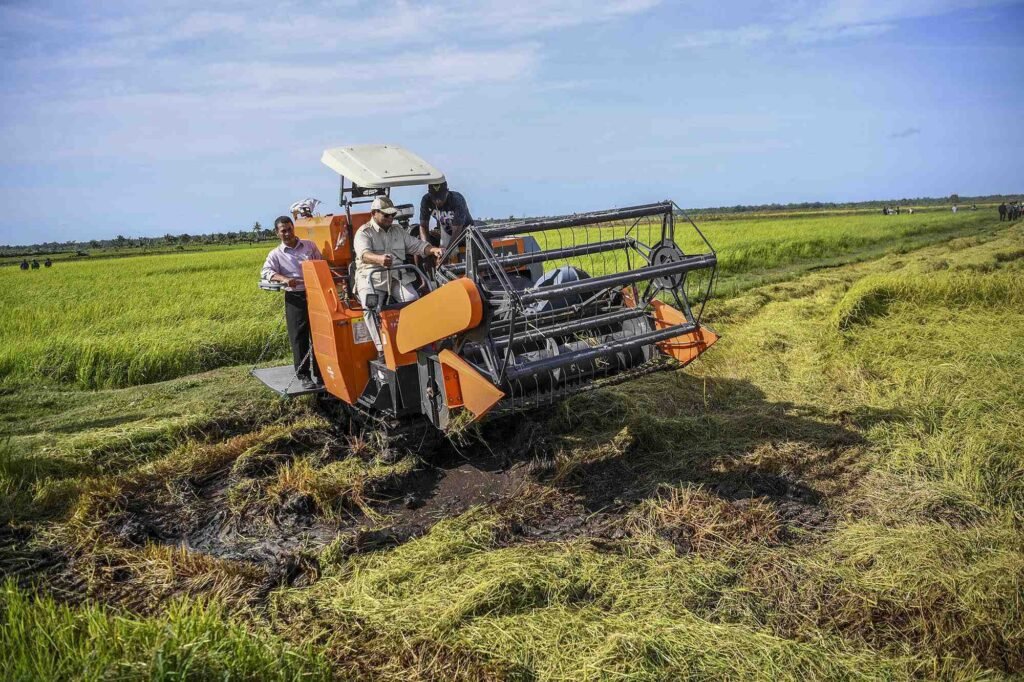 lumbung-pangan-nasional-merauke-prabowo
