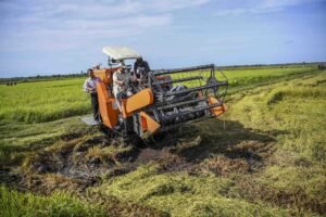 lumbung-pangan-nasional-merauke-prabowo