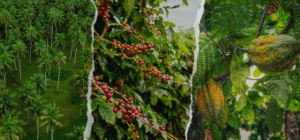 sbs6IoBEbFgKBbeOzxVSuQiIUboItoVkZRmiXsEK