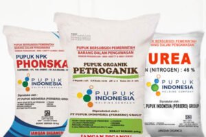 1665040029-img-pupuk-subsidi