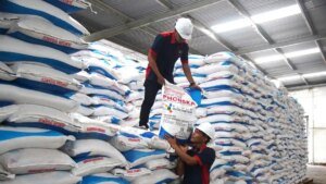 Harga-Pupuk-Baru-Bersubsidi-Disambut-Optimis-Petani-Hadapi-Musim-Tanam-Baru