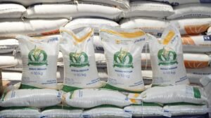 Program-Bantuan-Sosial-Beras-dan-Minyak-Distribusi