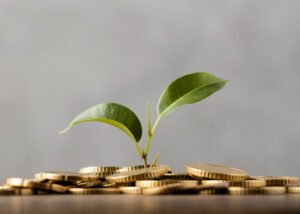 ekonomi-digital-di-indonesia