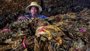 pemerintah-rencana-kenaikan-tarif-cukai-hasil-tembakau_20231227_184904