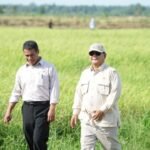 058255900_1760136586-img_viewer