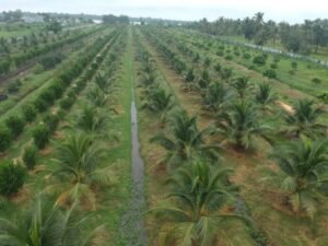 DJI_0609-scaled-1-696x522