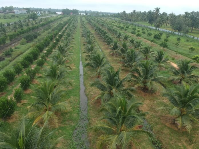 DJI_0609-scaled-1-696x522