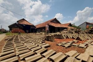 image_750x_69a2454524bbc