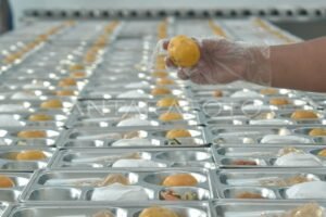 infrastruktur-sppg-untuk-mbg-di-indonesia-1ixa1-dom