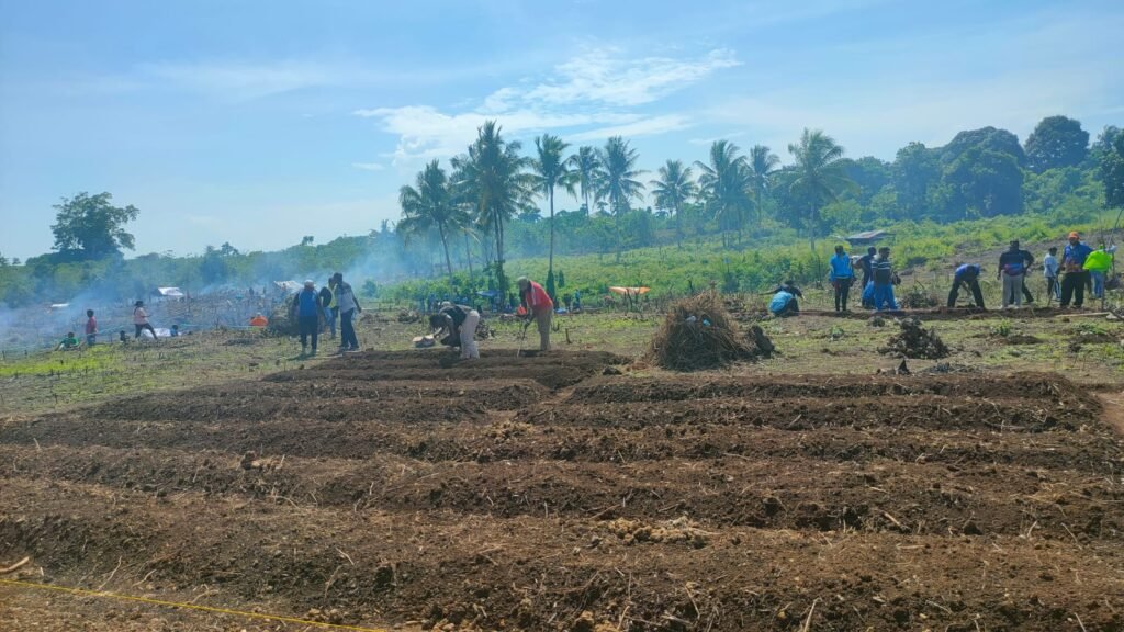 IMG-20221104-WA0001-1