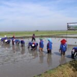 pusat_34f9994f-e3d5-4b26-978b-83bac6d6a69a_news