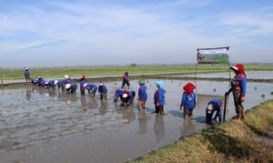 pusat_34f9994f-e3d5-4b26-978b-83bac6d6a69a_news