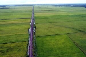 kementan-akan-rehabilitasi-jaringan-irigasi-tersier-67-037-ha-yA5-thumb
