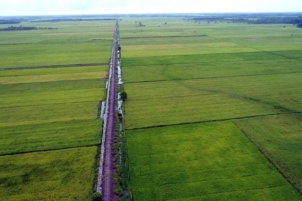 kementan-akan-rehabilitasi-jaringan-irigasi-tersier-67-037-ha-yA5-thumb