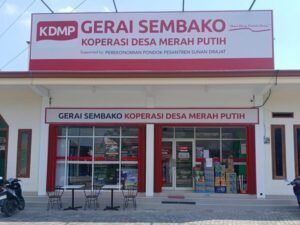 kopdes1