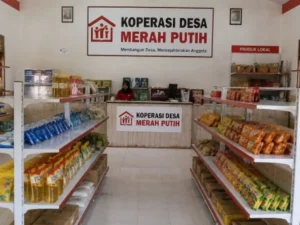 koperasi2