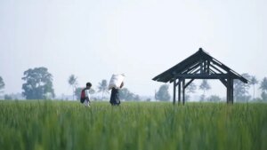 083402000_1704794849-Pupuk_Bersubsidi