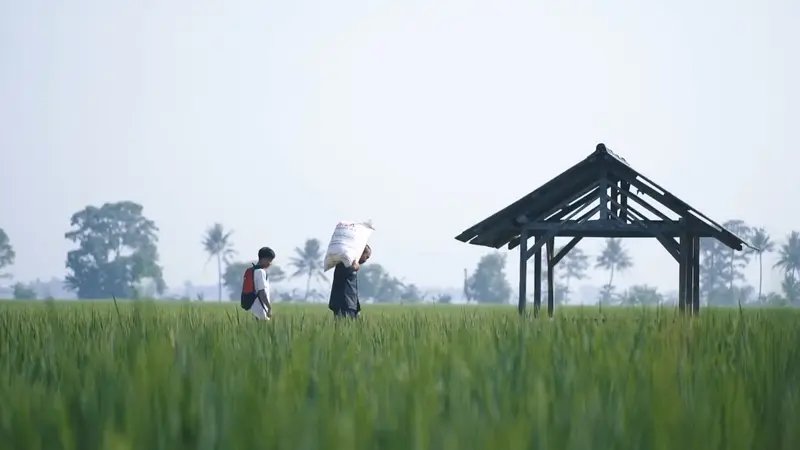 083402000_1704794849-Pupuk_Bersubsidi