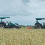 Ilustrasi-petani-mengolah-sawah-pada-masa-tanam-padi-c