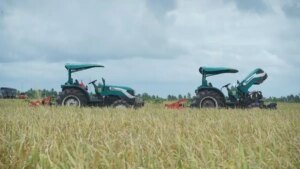 Ilustrasi-petani-mengolah-sawah-pada-masa-tanam-padi-c