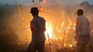 Kapolda-Lampung-turun-ke-tnwk-pastikan-kondisi-aman