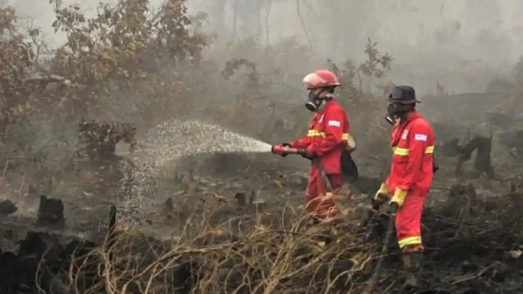 Warganet-Soroti-Karhutla-Kalimantan-Kemenhut-Sebut-Titik-Api-Bertambah-Kualitas-Udara-Berbahaya