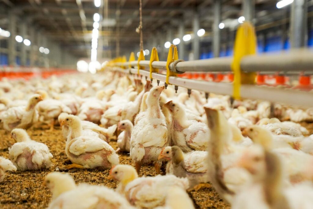 6a74d4e30514f