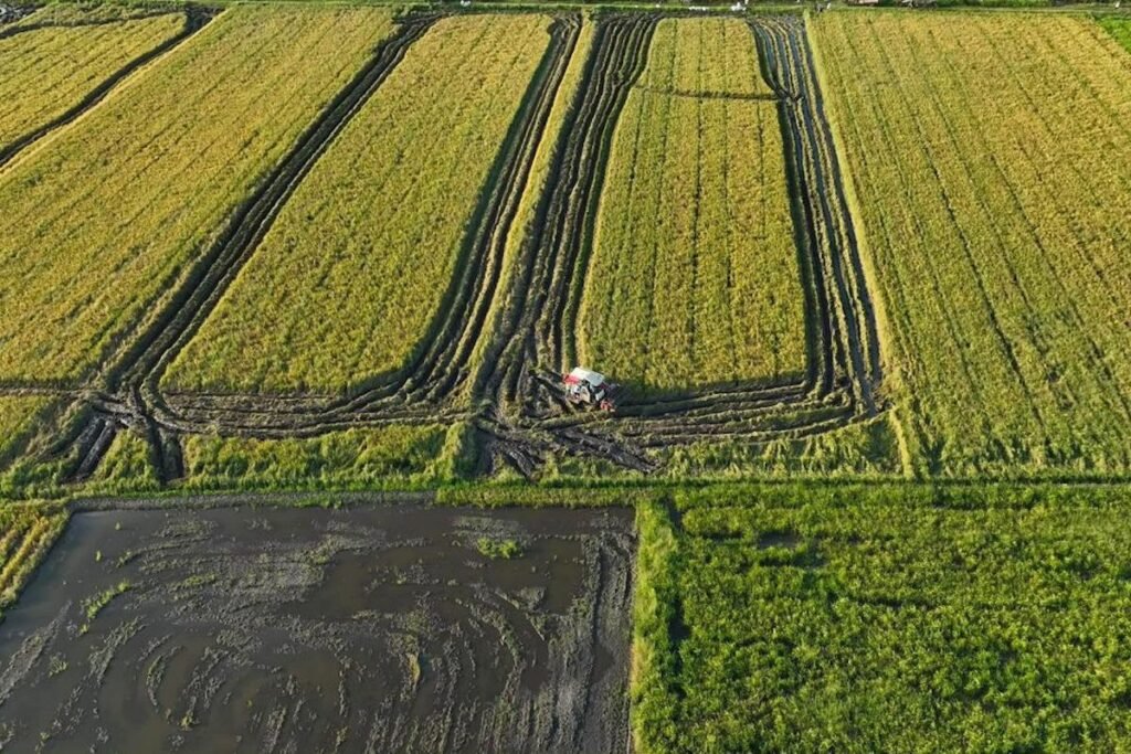 A10E6549-9126-4519-8467-585A9BCCFE76